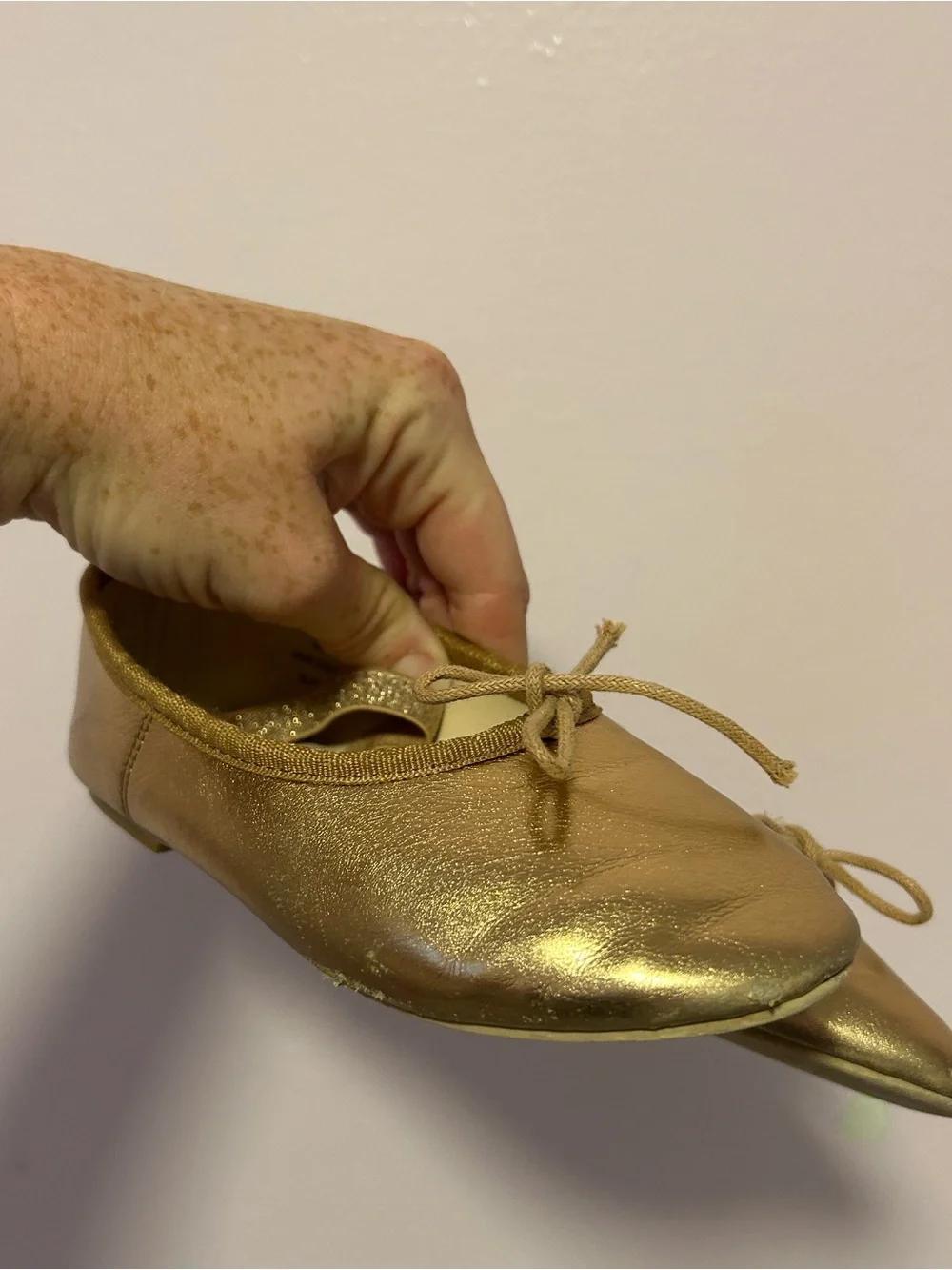 Noralee Rose Hold Ballet Flats Sz 11